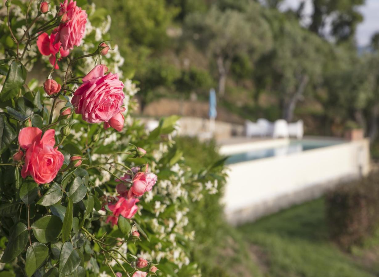 Villa Laura Capo dʼOrlando Kültér fotó