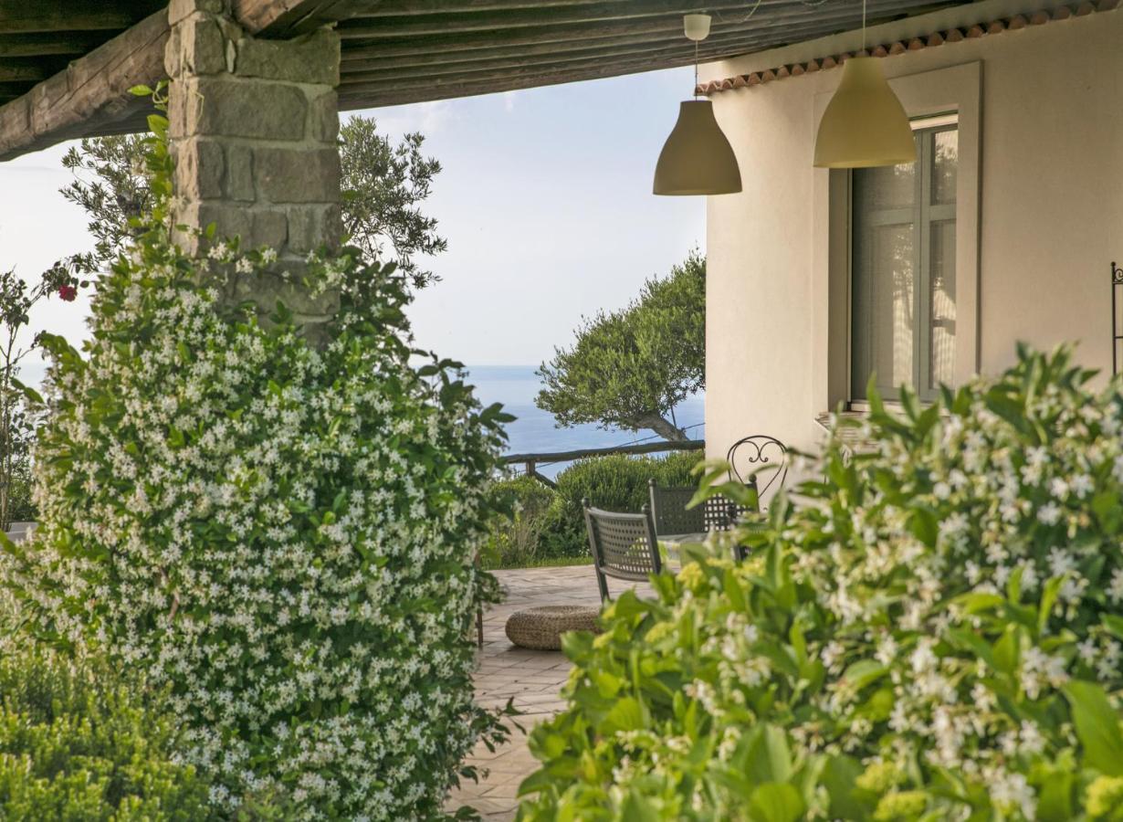 Villa Laura Capo dʼOrlando Kültér fotó